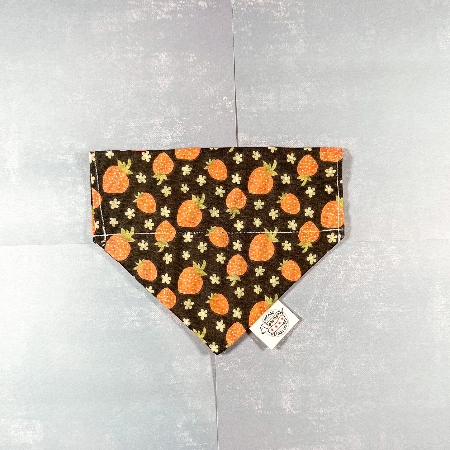 Strawberries Spring Bandana