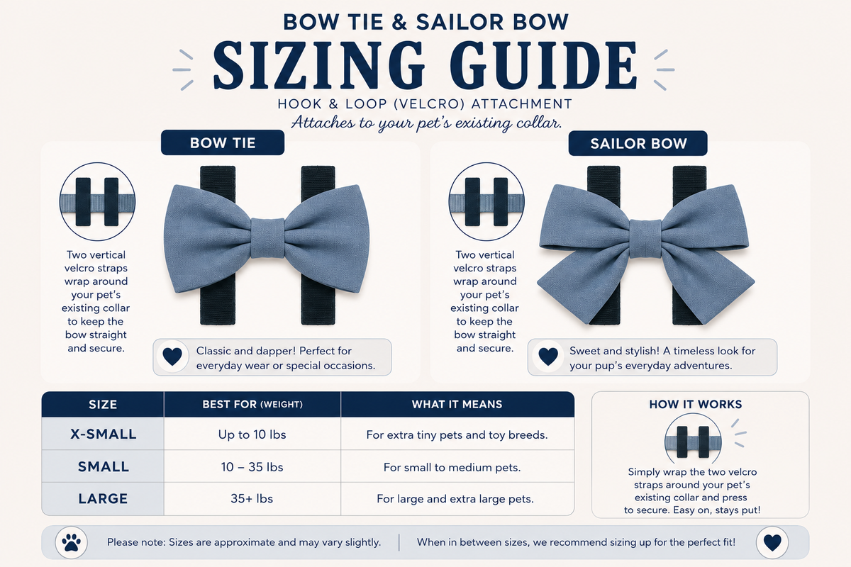 Teddy Bear Desserts Valentines Day Bow Tie