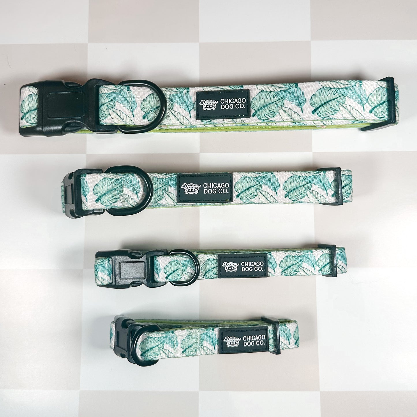 Palm Leaves Collar & Leash Set