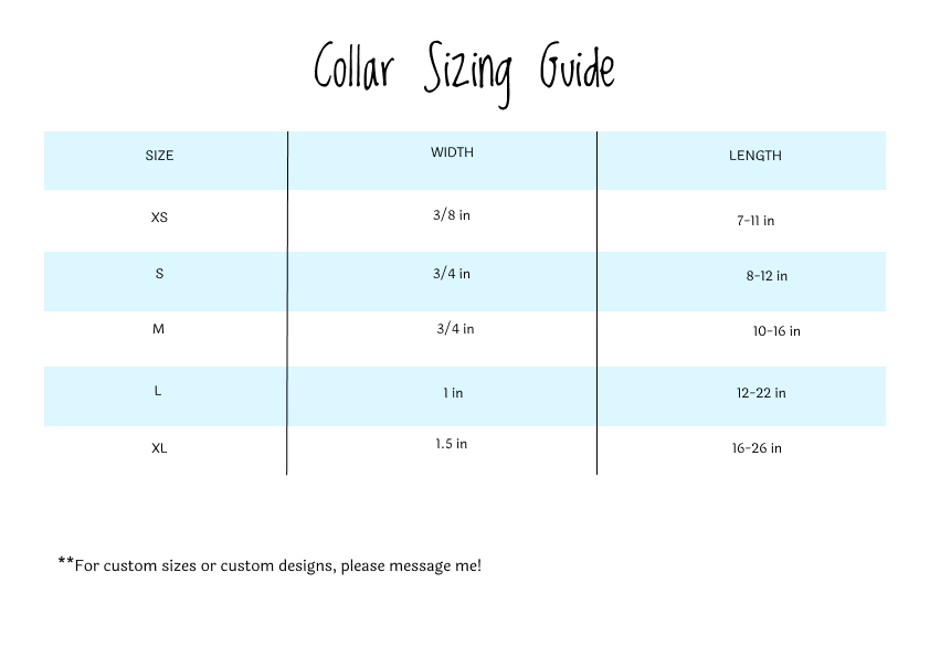 Chicago Flag Collar & Leash Set