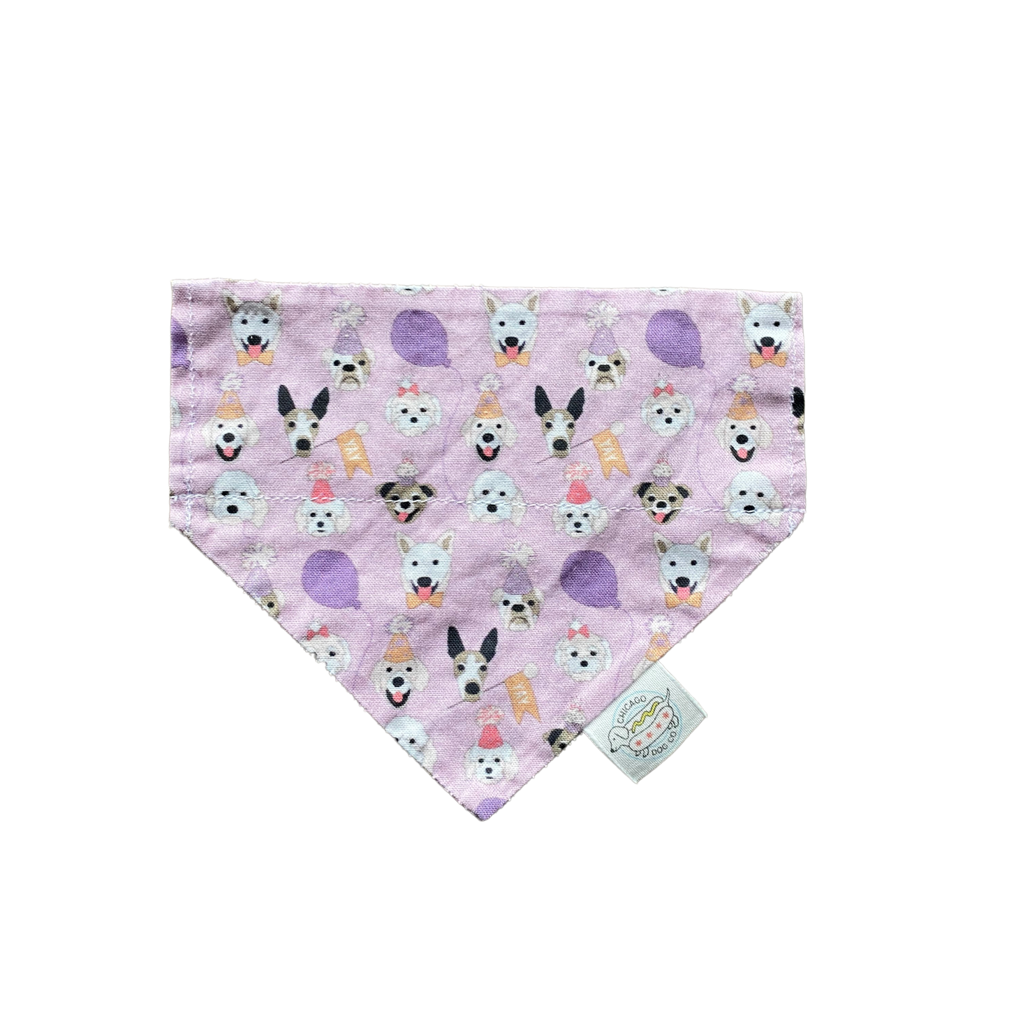 Birthday Puppy Party Bandana