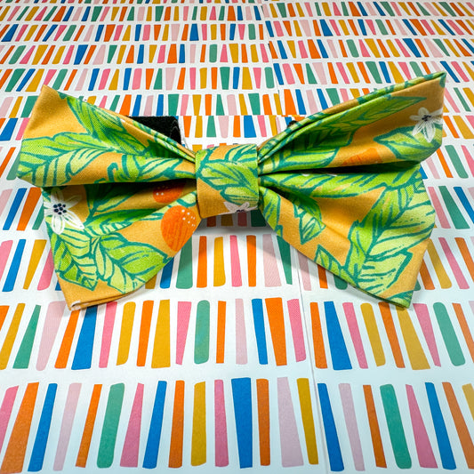 Tropical Oranges Bow Tie