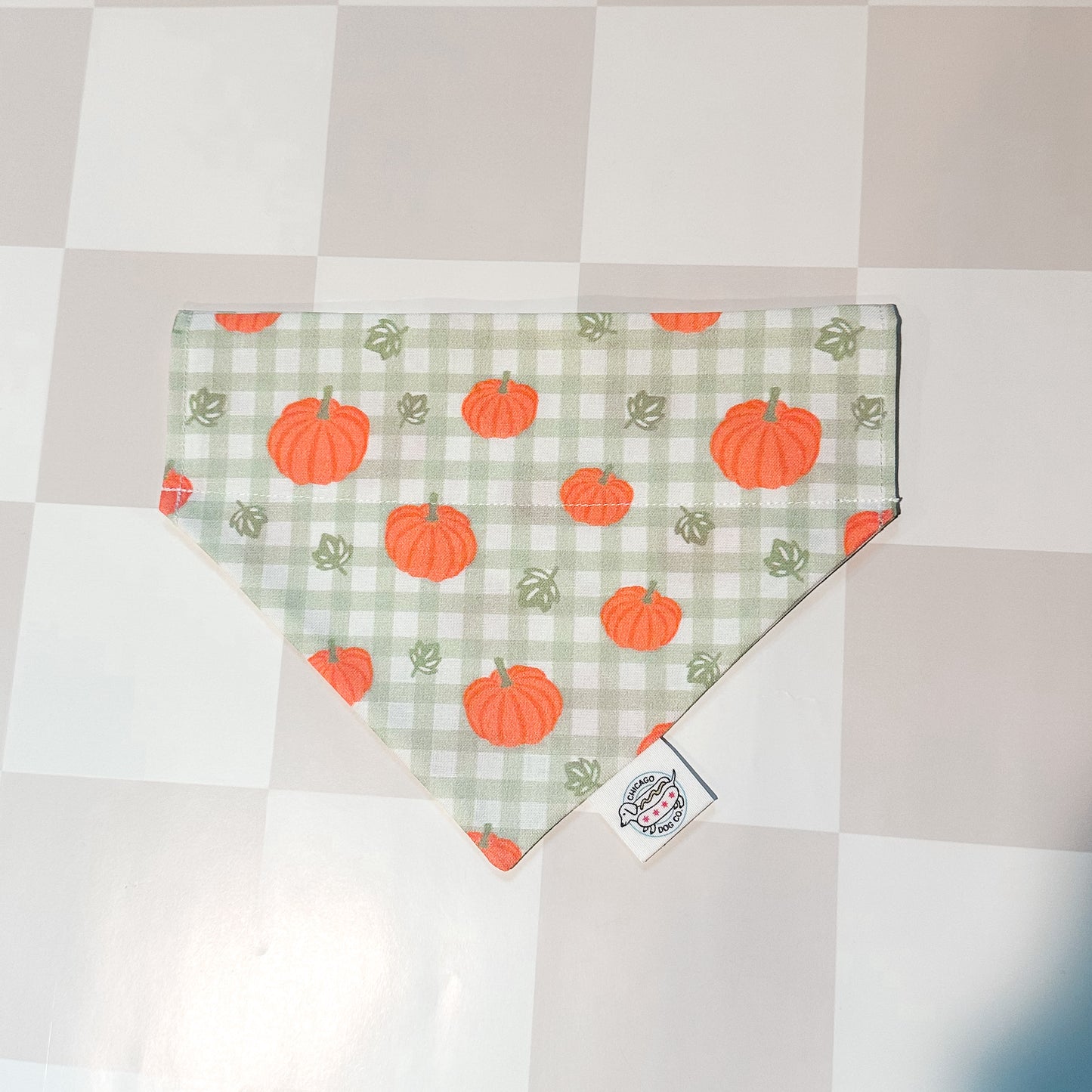 Pumpkin Patch Halloween Fall Pet Bandana