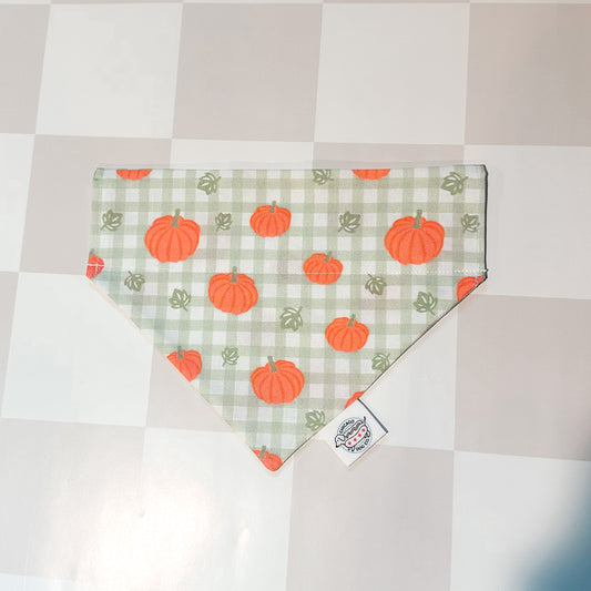 Pumpkin Patch Halloween Fall Pet Bandana
