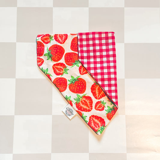 Strawberry spring and red plaid pet bandana 