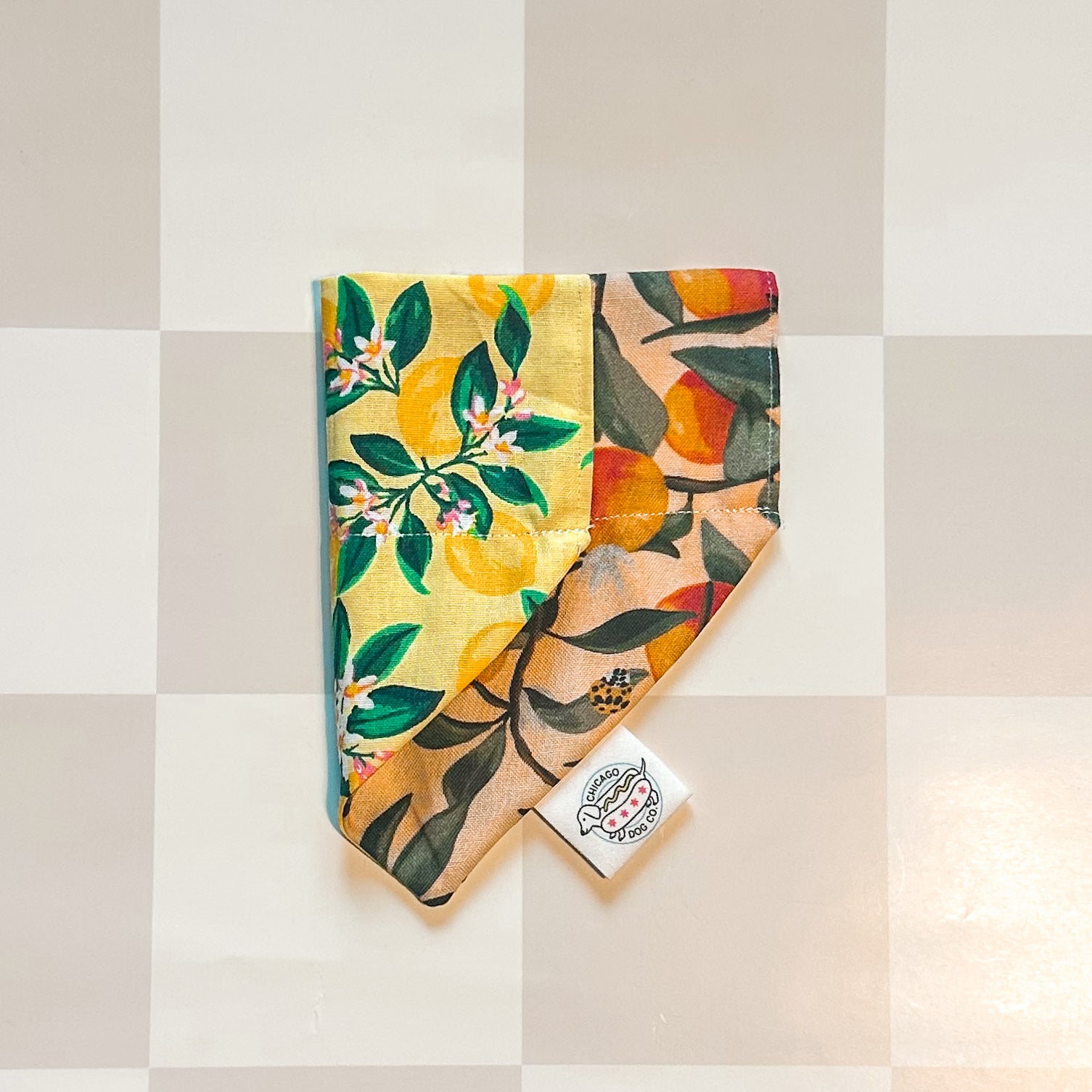 citrus fruit pet bandana reversible