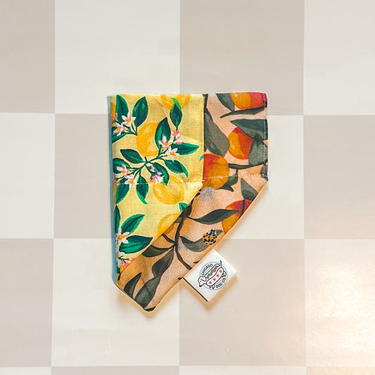 citrus fruit pet bandana reversible
