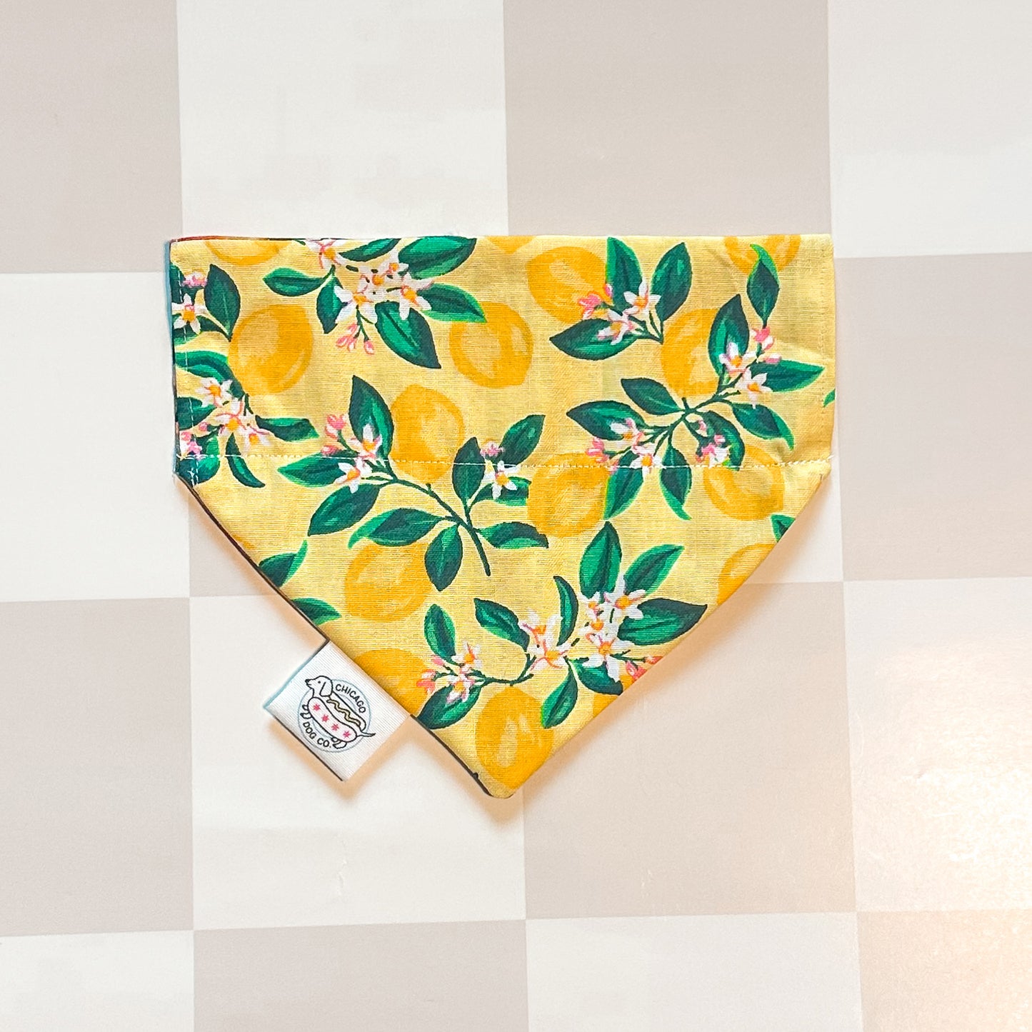 Dog bandana with lemon and leaf pattern 