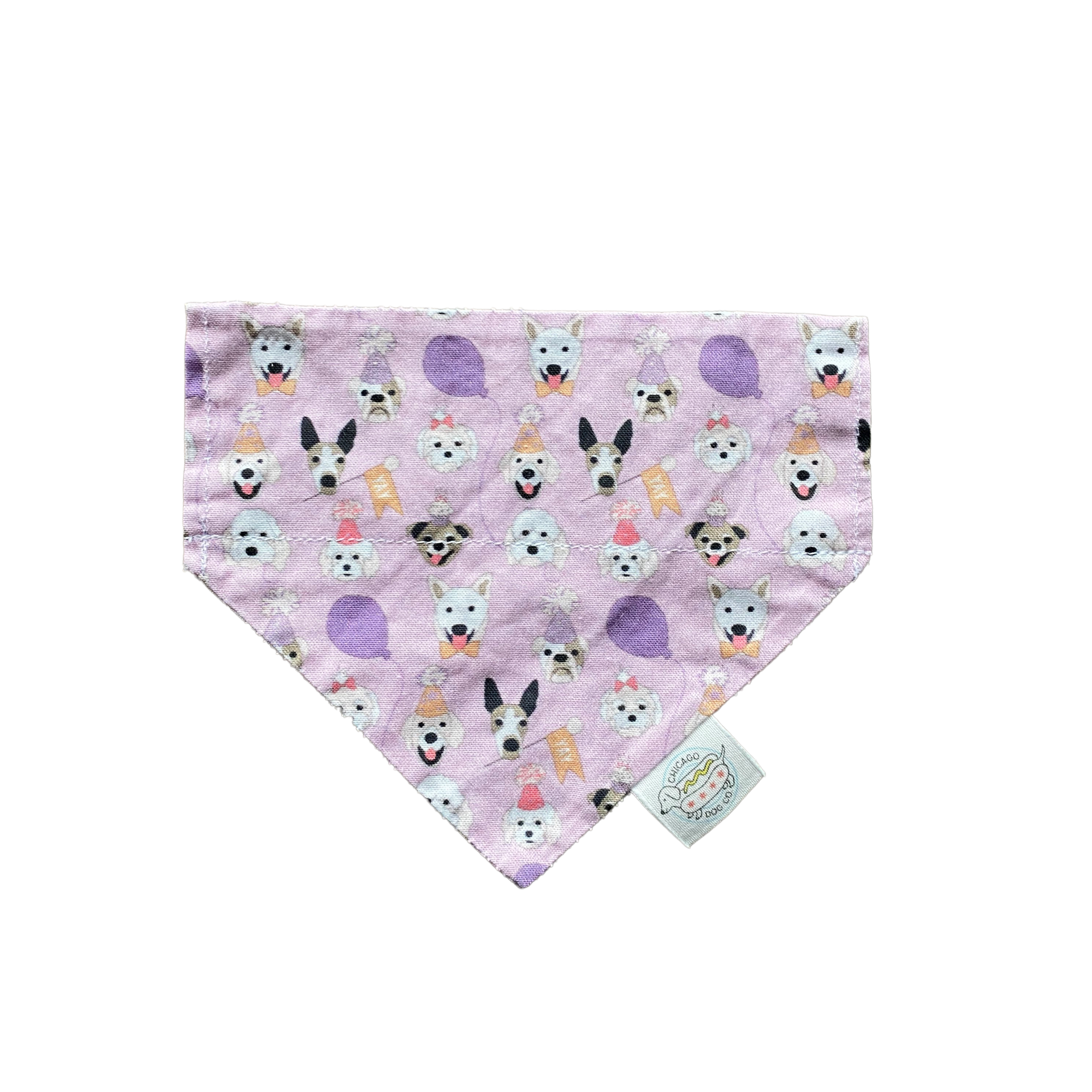 Birthday Puppy Party Bandana